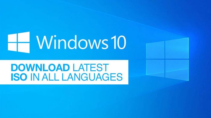 Download Microsoft Windows Professional 11 64 bit All Languages