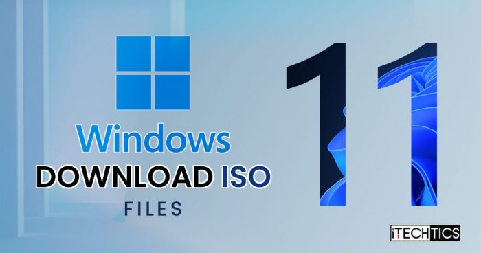 Windows 11 Pro Education ISO Download & Install on Your PC