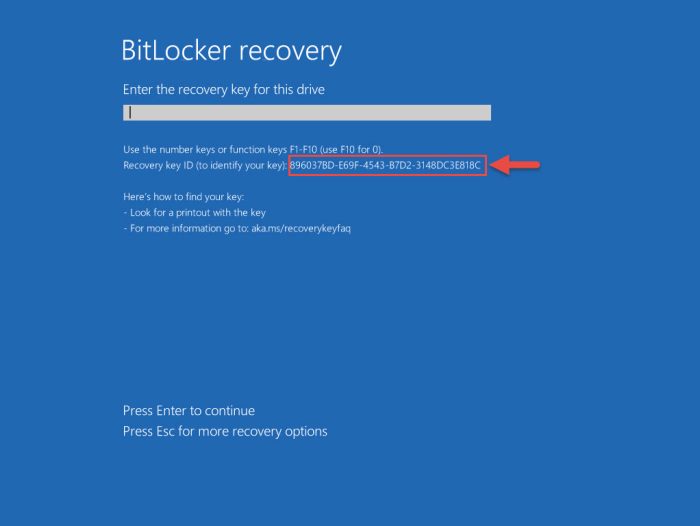 bitlocker identifier